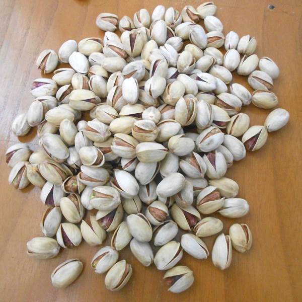 پسته کله قوچی